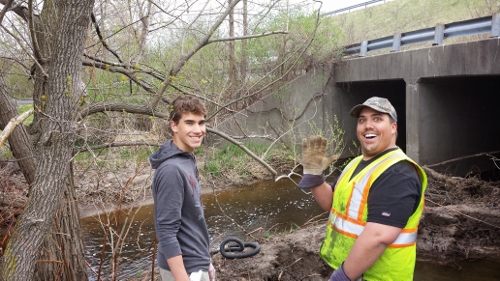 Winton Rain Garden (22)